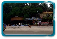 Arambol Goa