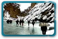 Trekking in Ladakh